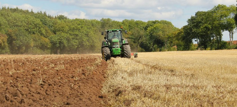 Ja teniu disponible el butlletí EXTENSIUS.CAT de juliol !

Aquest mes ve farcit d'articles tècnics molt interessants (Pla Renove, certificació ecològica, resultats de varietats, etc.) 

Una bona lectura de dimecres per fer passar la calor !

▶️ mailchi.mp/2885bcc0034a/e…