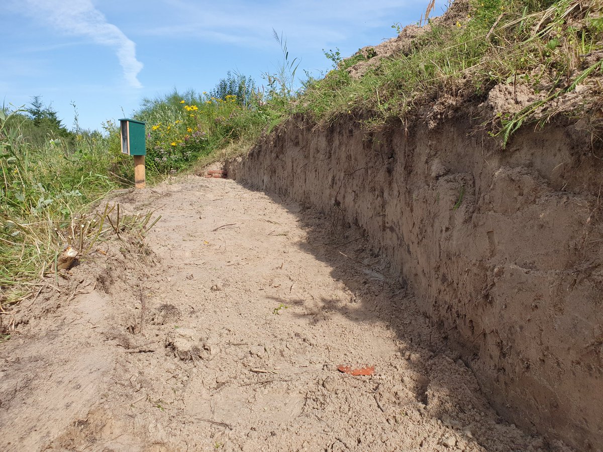 Mooie stijlwand gerealiseerd voor de zandbijen op het Landgoed van Crebas, Bant. #Flevoland #Noordoostpolder