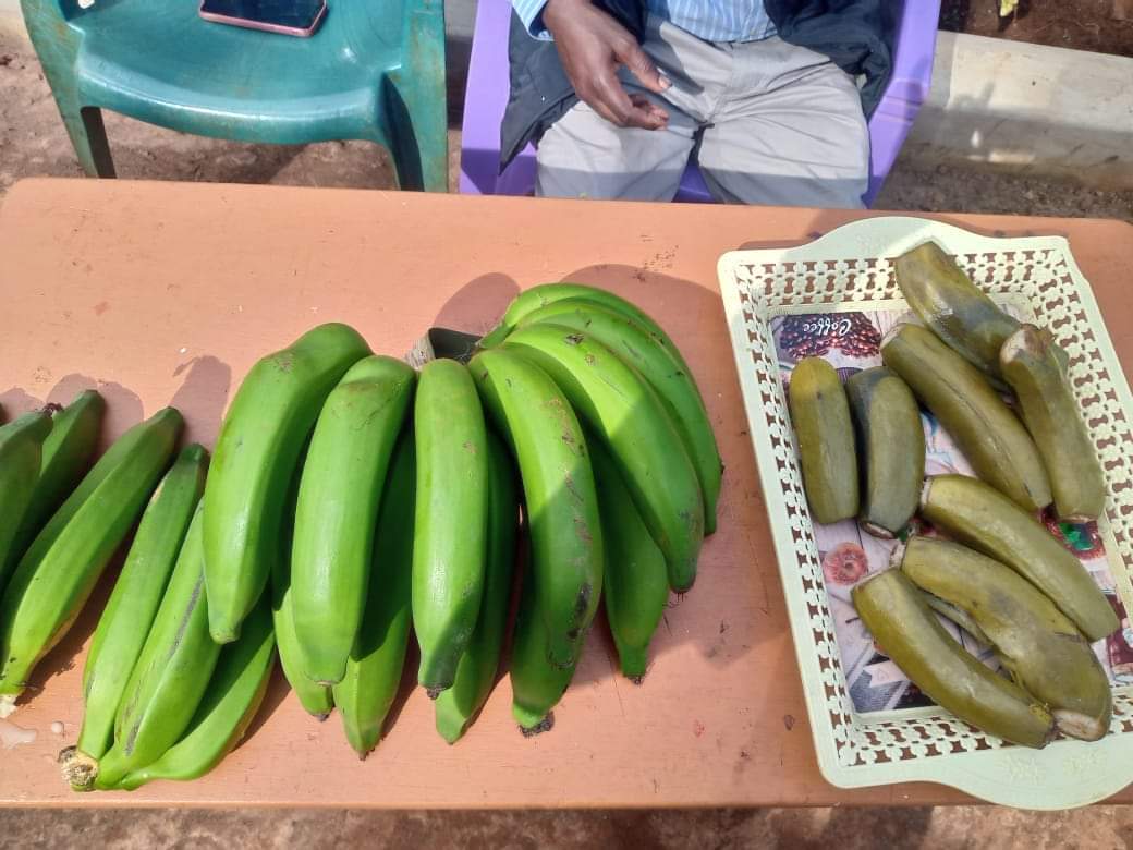 Slow Food Kenya tweet media