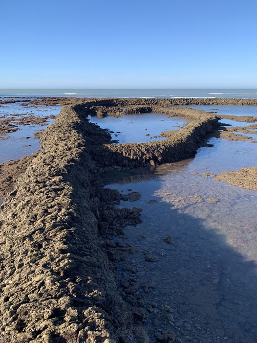 Great picture of the stone fish weirs at Rota is a Spanish municipality located in the Province of Cádiz, Andalusia. #fishweirs #Spain #maritimearchaeology