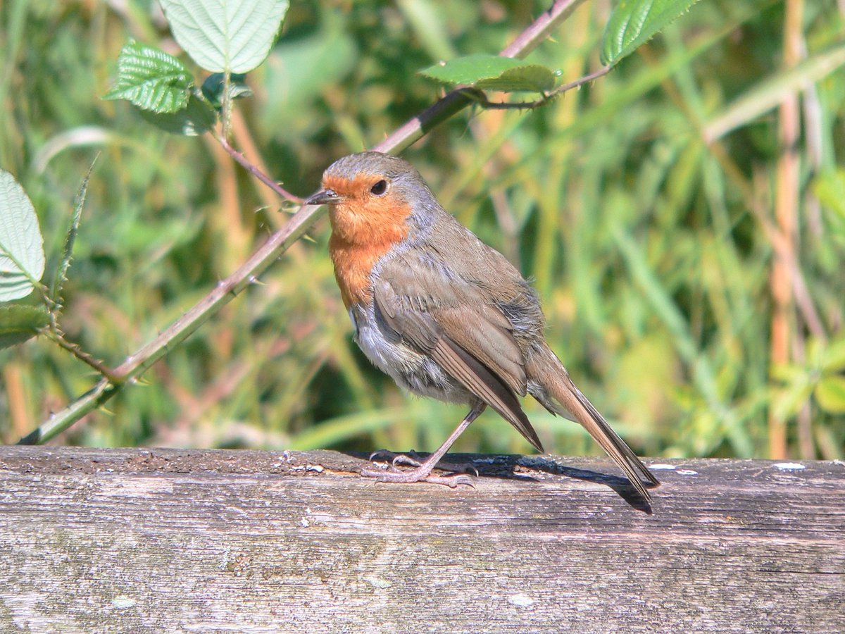 And because I'm not going to let the anger win, I'm just going to post some other photos from this week. 
There is beauty to be found in the world. There is peace. There is still hope. 🌈