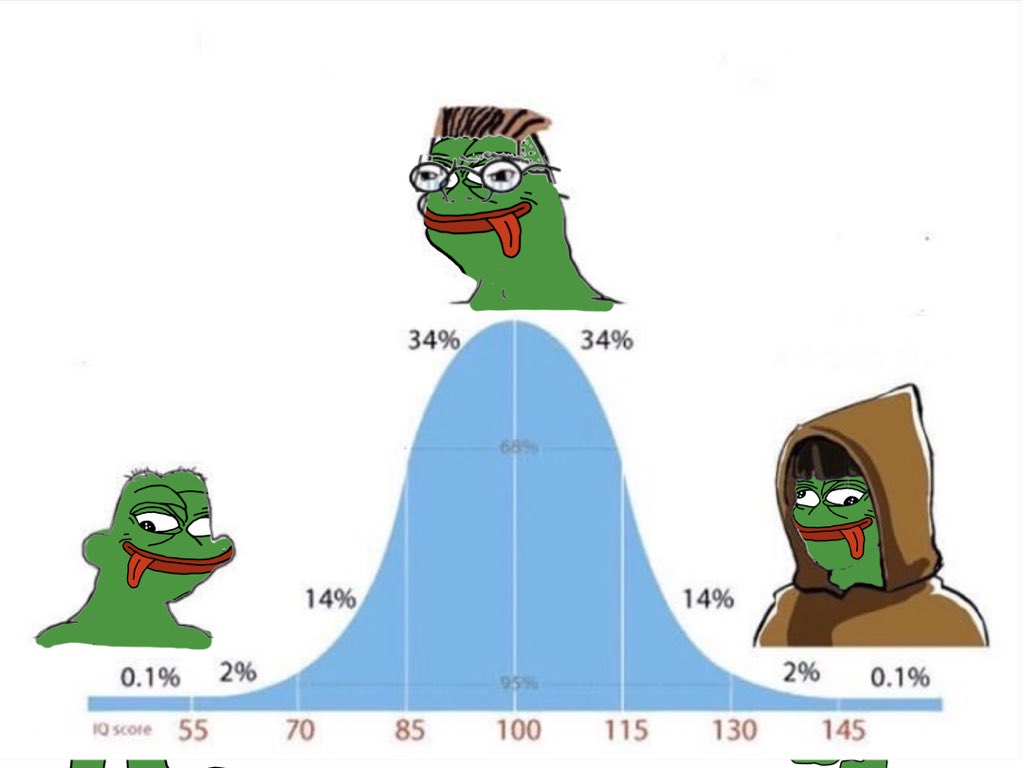 PepetardPETA's tweet photo. Pepetard heard there’s an IQ war and he’s here to dominate.
#IQ #Crypto #memecoin https://t.co/mDlyRf1CIx