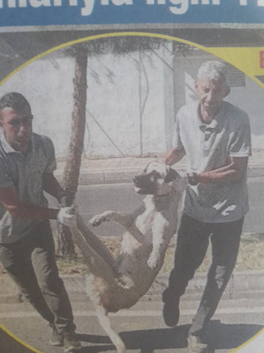 Vicdan kör olmuş bu canları nasıl hemen topluyorlar Allah korkusu yok