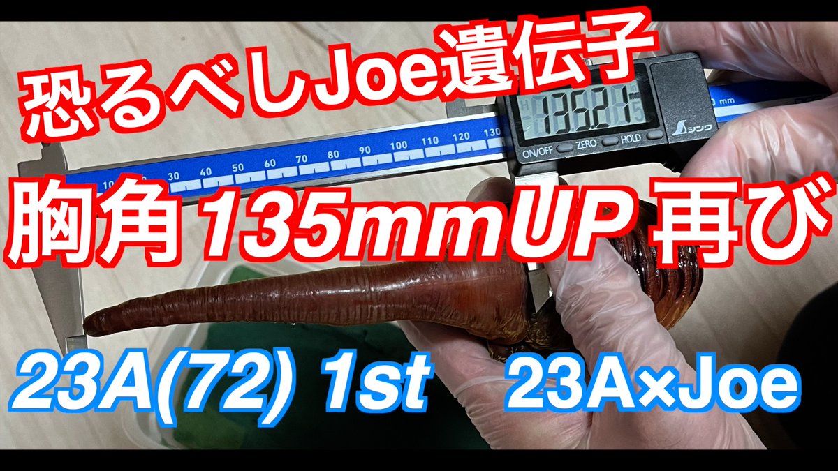 chaser1106 (@chaser1106_SDU) / Posts / X