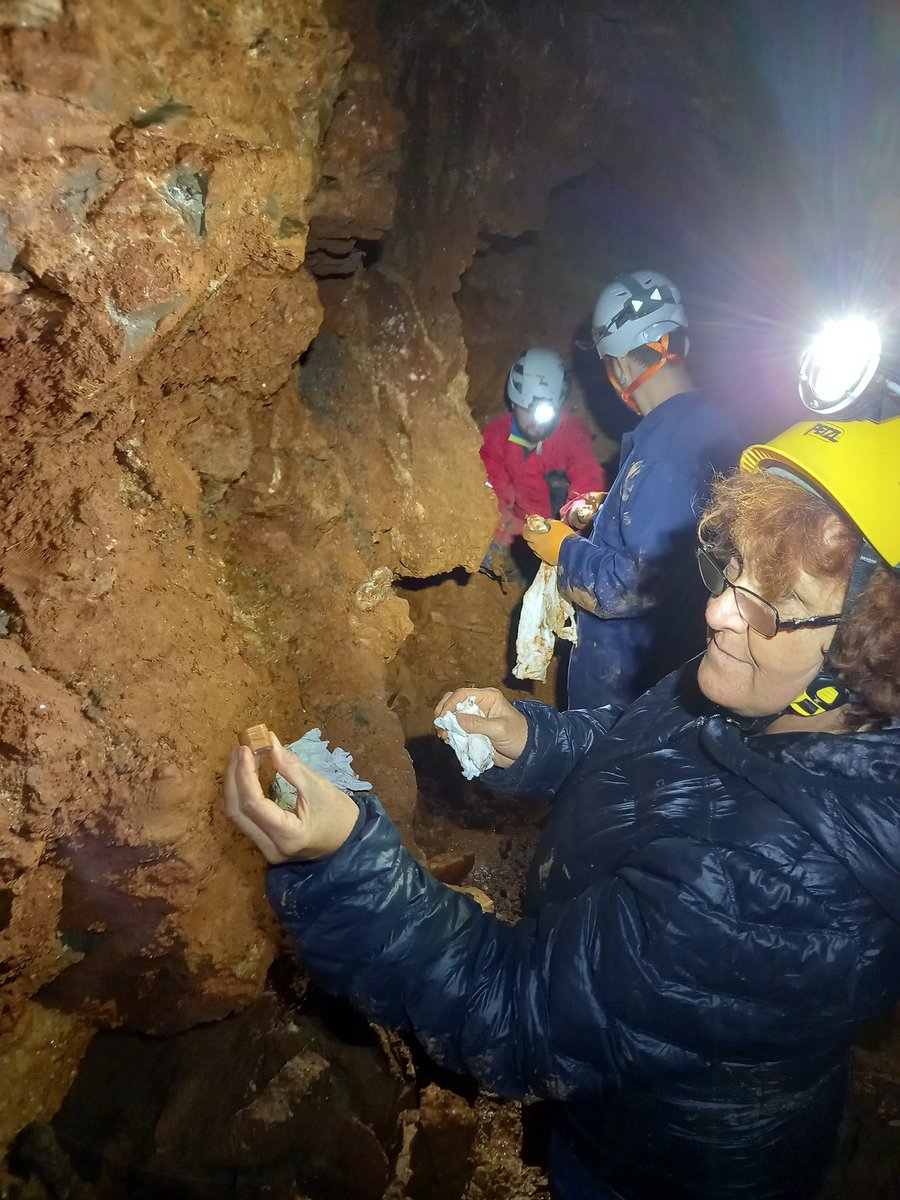 Dept. of Paleomagnetism, Czech Acad Sci, Inst Geol tweet media