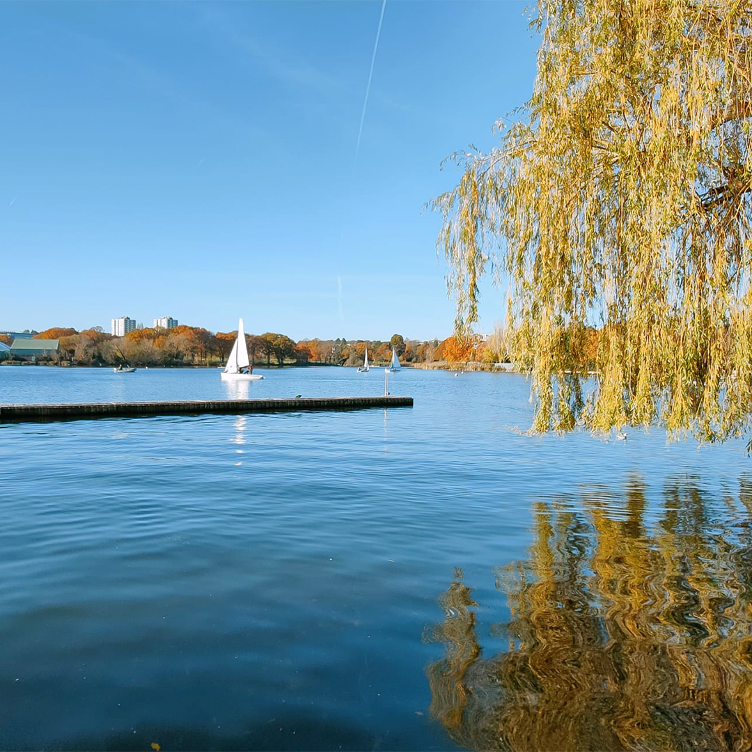 WeWalkandTalk's tweet photo. We're so fortunate to have so many local #parks in #SWLondon- natural havens at the heart of our communities - a perfect escape from the bustle of daily life.
#LoveParks #TheWalkandTalkMovement #greenspaces #Sustainability #NatureLovers #UKParks #DiscoverUK
@KeepBritainTidy https://t.co/nbHmZnwXnO