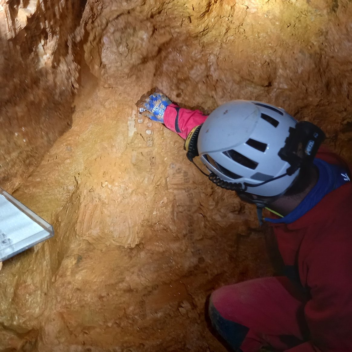 Dept. of Paleomagnetism, Czech Acad Sci, Inst Geol tweet media