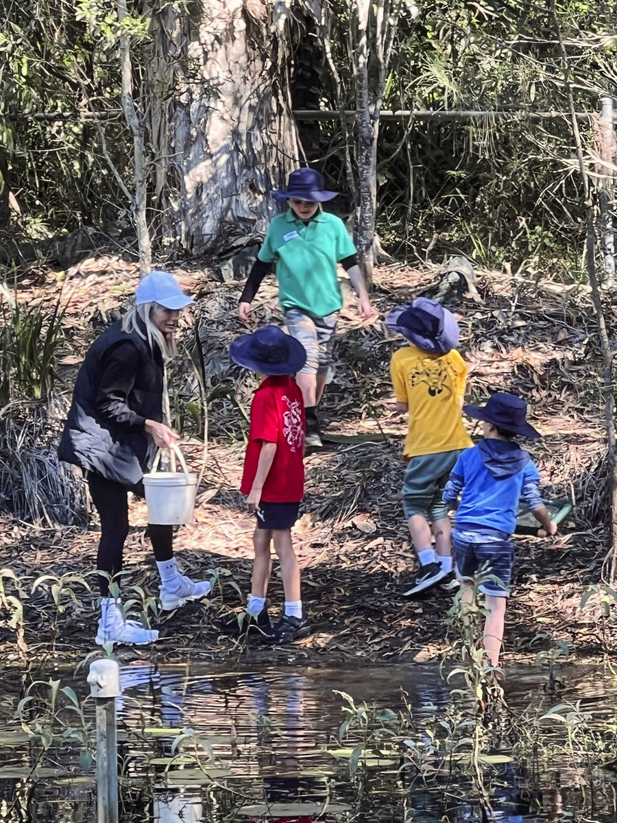 sheldoncollege tweet media