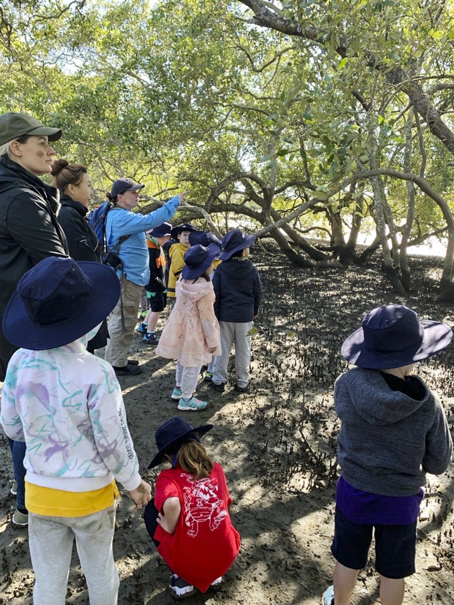 sheldoncollege tweet media