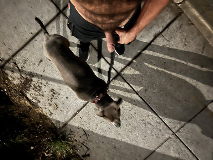 Watch Brody Bartoli (EDC Orlando/Brazil NYE)'s leaked NSFW photo on TwXstars