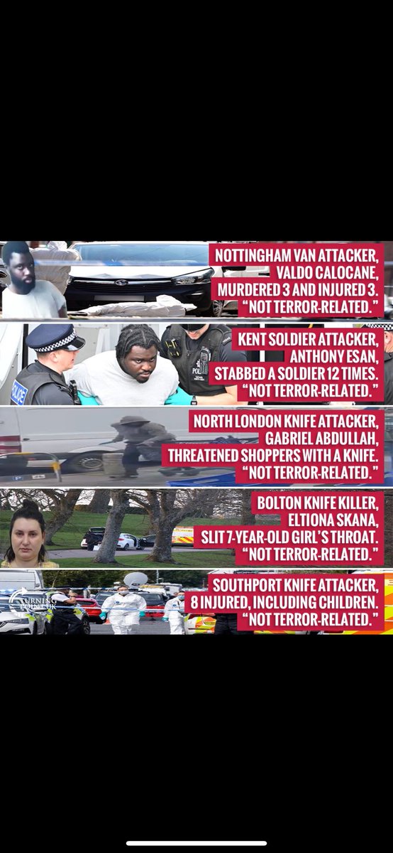 Ollie 🇬🇧🇬🇧 tweet media