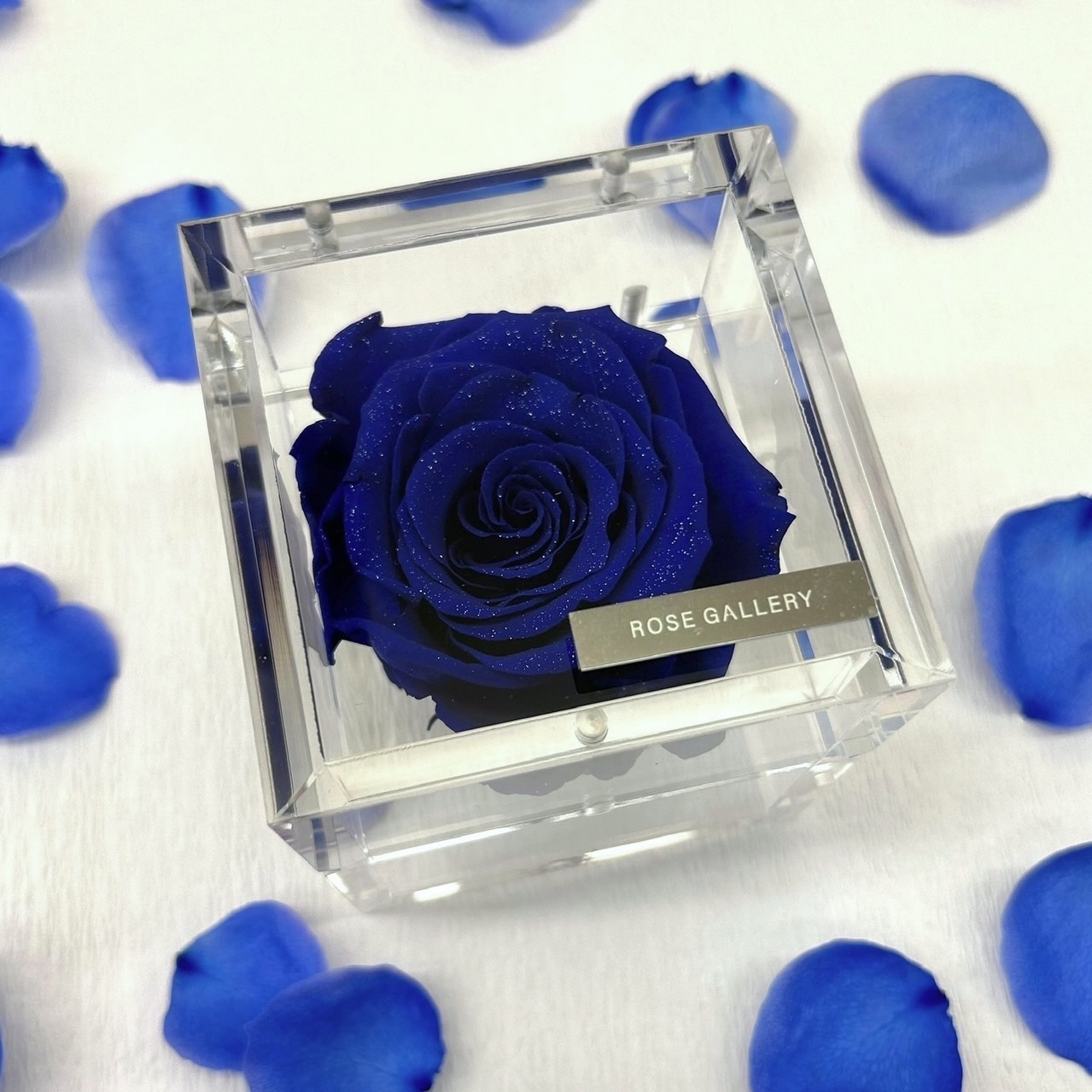 ROSE GALLERY ローズギャラリー バラ ブルーローズ ブルー ROSE