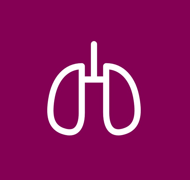 Leef je met COPD? Op 4 september organiseren we het symposium 'Continu verbeteren van COPD-zorg in het St. Antonius Ziekenhuis'. Lees meer en meld je aan op de website: antoniusziekenhuis.nl/agenda-overzic…