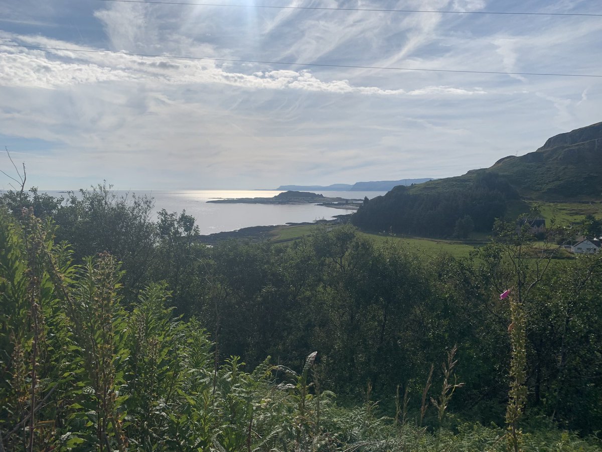 Mary Booth tweet media