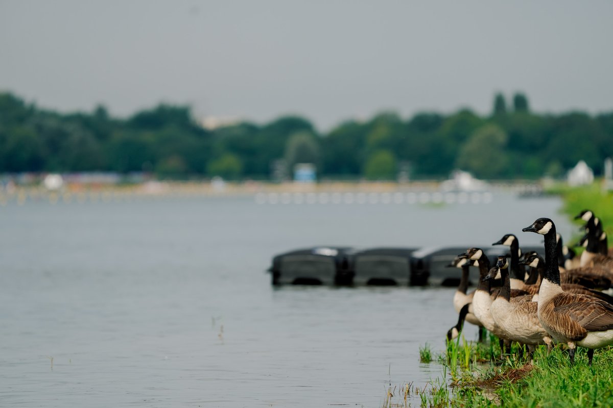 Paris 2024 tweet media