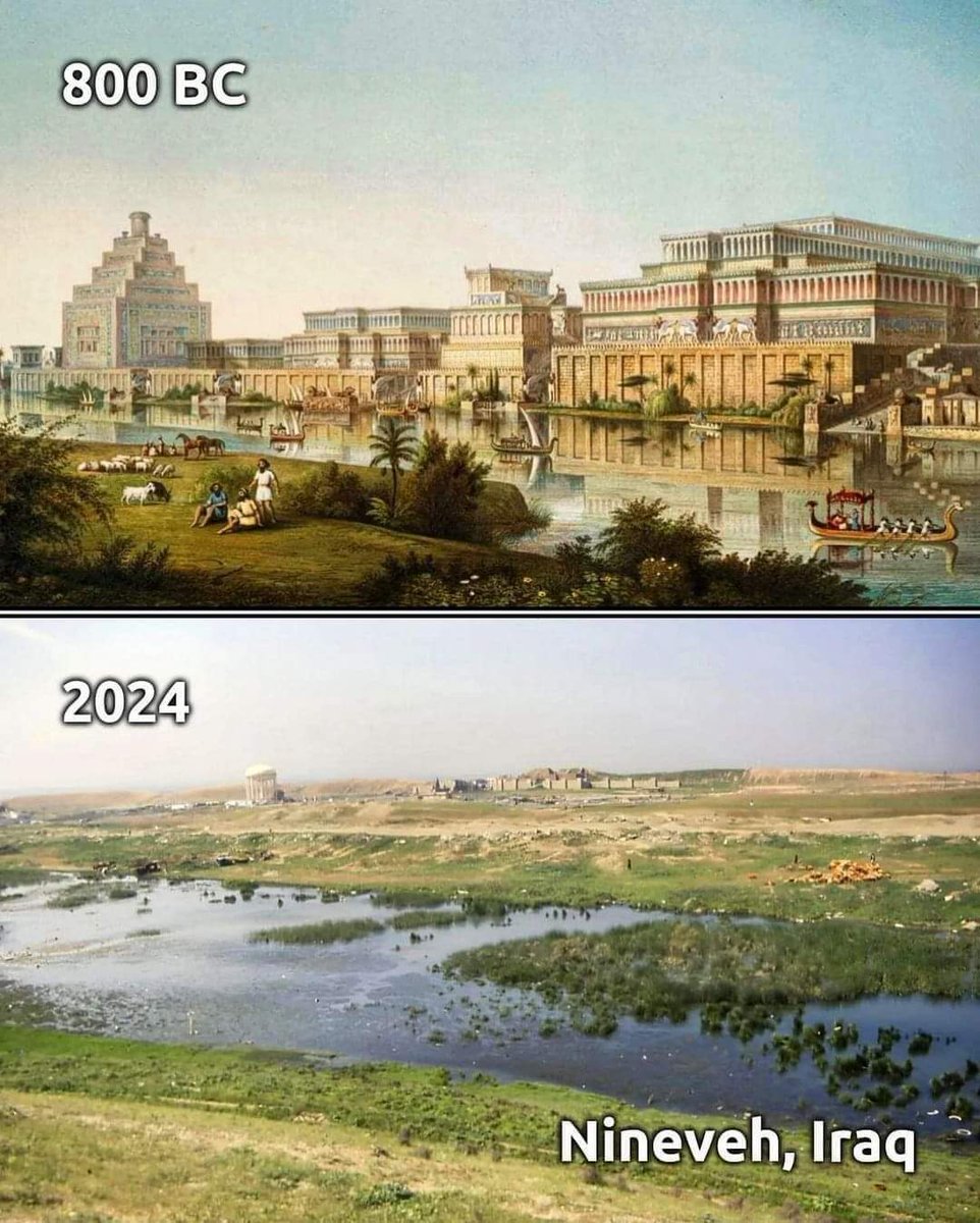 Then vs Now tweet media