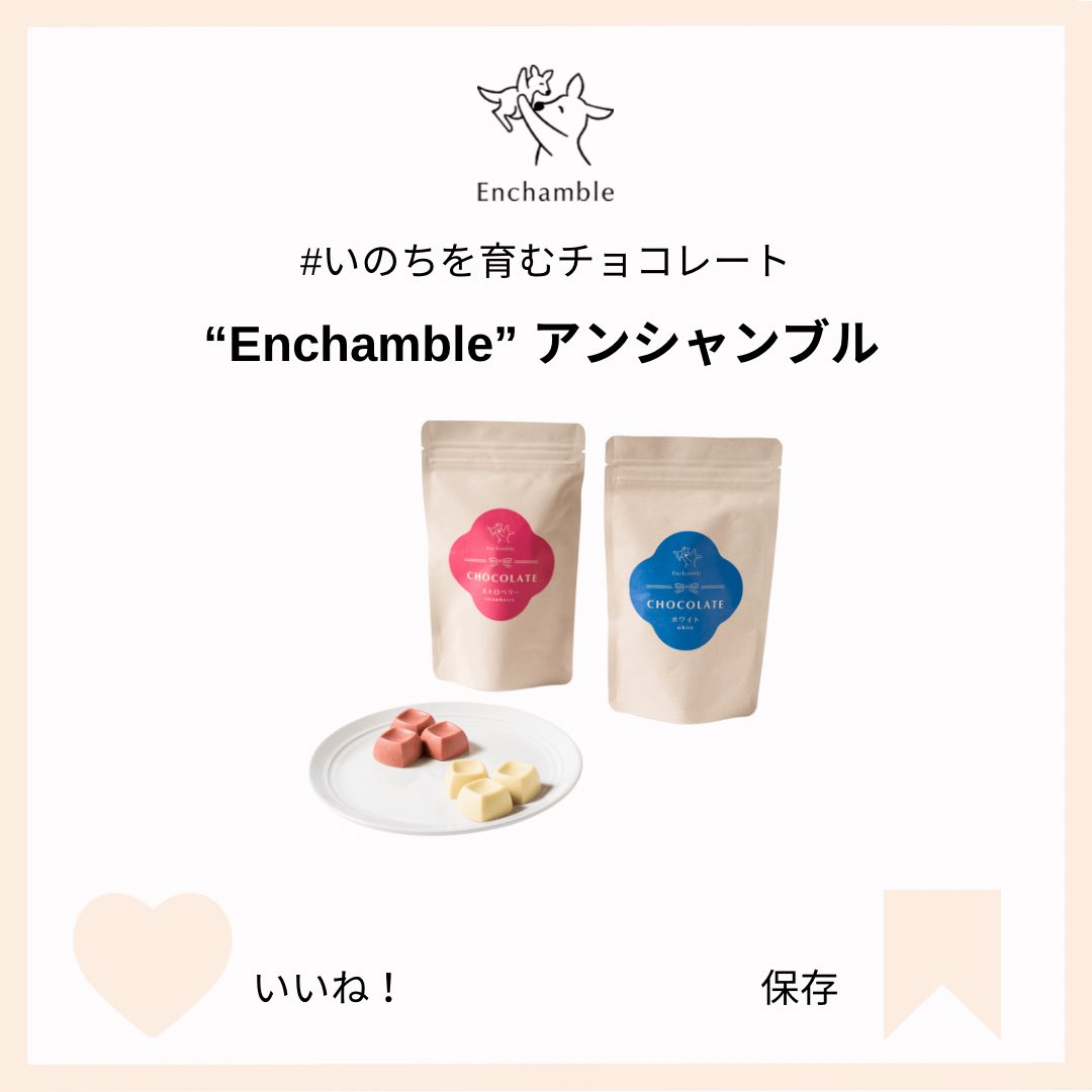 enchamble's tweet photo. 冷蔵庫で冷やした生チョコレートをぱくっと🍫
暑い日々が続いてるので、おうち時間でゆっくり過ごして下さいね💕
#生チョコ #生チョコレート #夏 #アンシャンブル #enchamble https://t.co/LwvArzqZc0