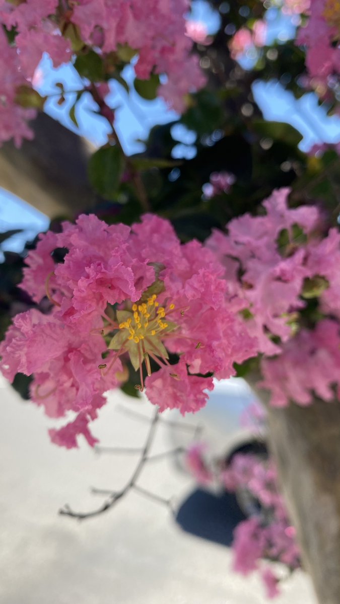 OctaviaR tweet media