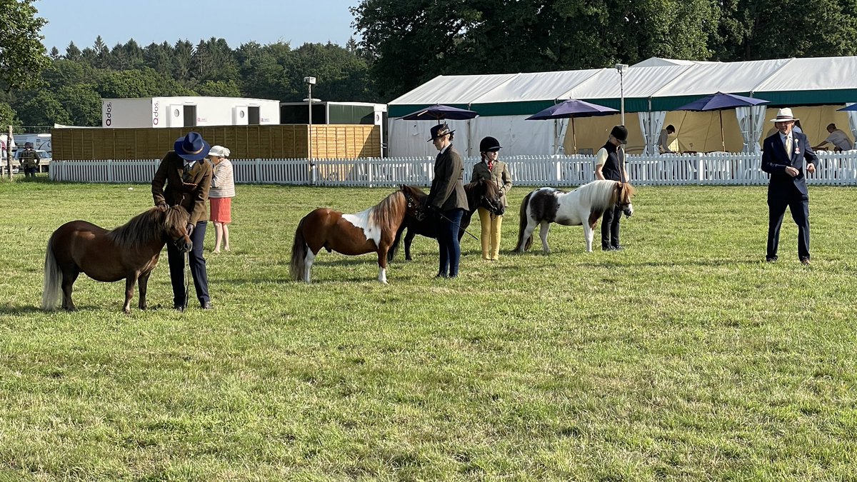 Come and see us at the New Forest Show, North Avenue, Stand 13. Lots to do and see at this magnificent show.
#newforest #dayout #newforestshow #hampshire #salisbury #artisancraft #supportlocal