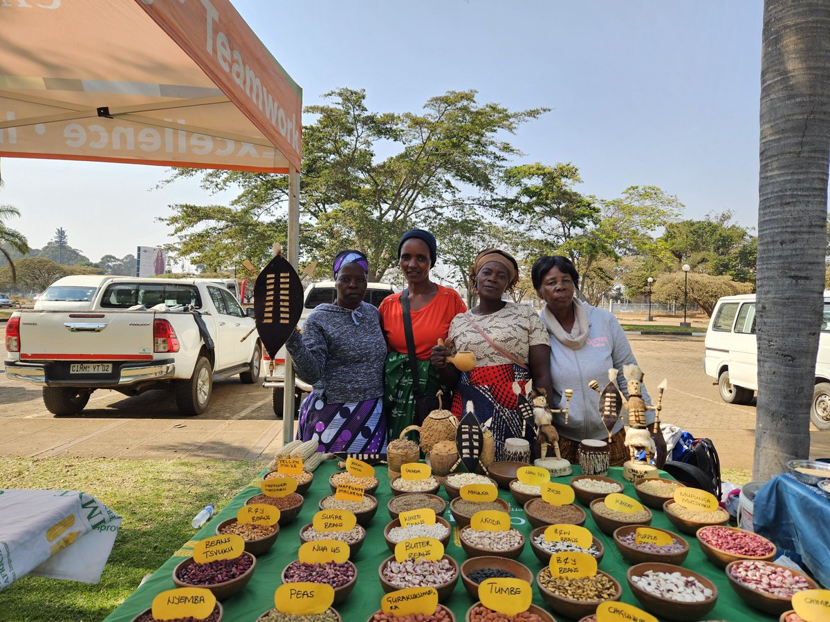 Telma Sibanda tweet media