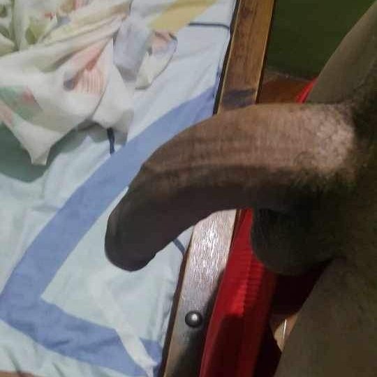 PAJAZO mañanero 🍆💦 quien llama para MORBOSEAR?? Full morboso 💦 04148843467☎️