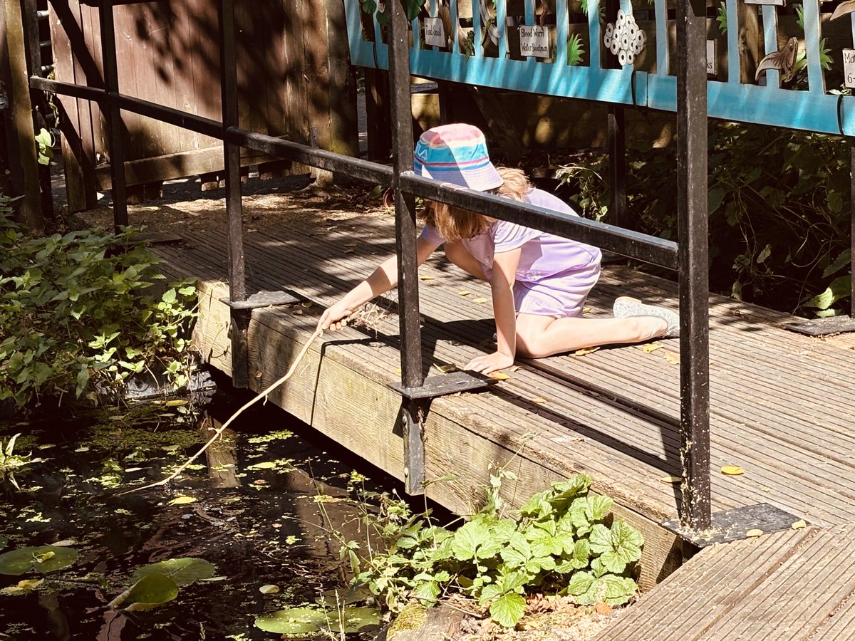 Amelia Wright tweet media