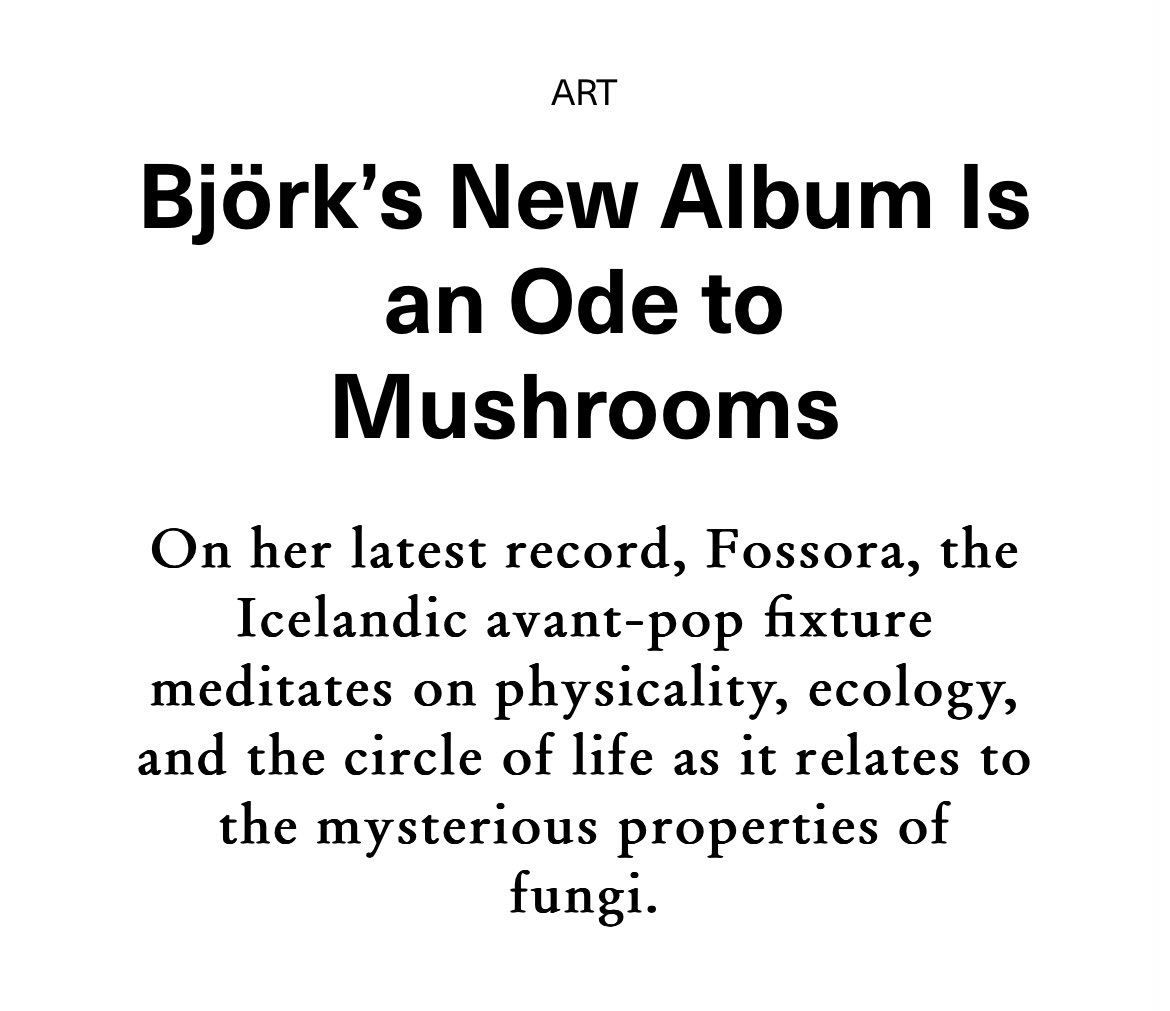 Ben Stephens tweet media