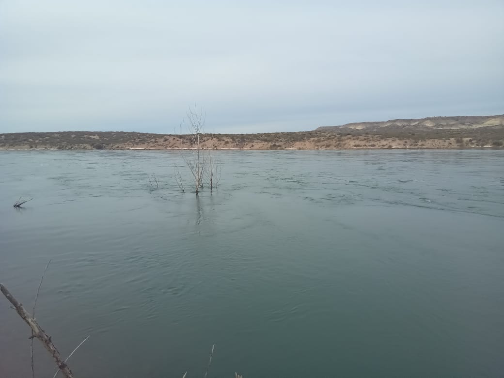 MesaDePesca's tweet photo. Seguimos fiscalizando en el río Negro 🎣 Esta semana se recorrió la zona ribereña entre Allen y Cipolletti. Sigue muy crecido el río. No se encontraron pescadores en infracción. 

@econprod_rn #pescadeportiva https://t.co/bqNT8xLYJq