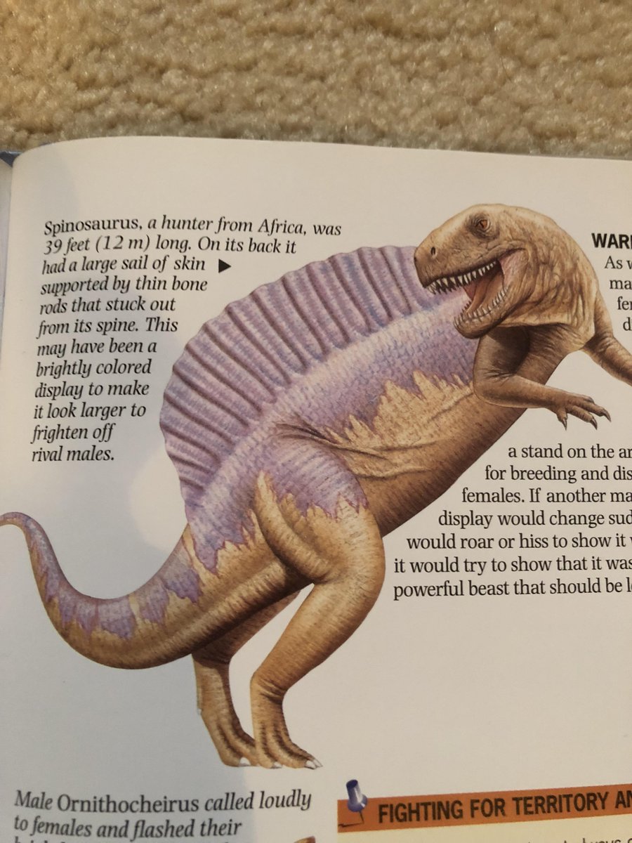 Out of Context Spooky Dinosaurs (@oocmesozoiclife) on Twitter photo 