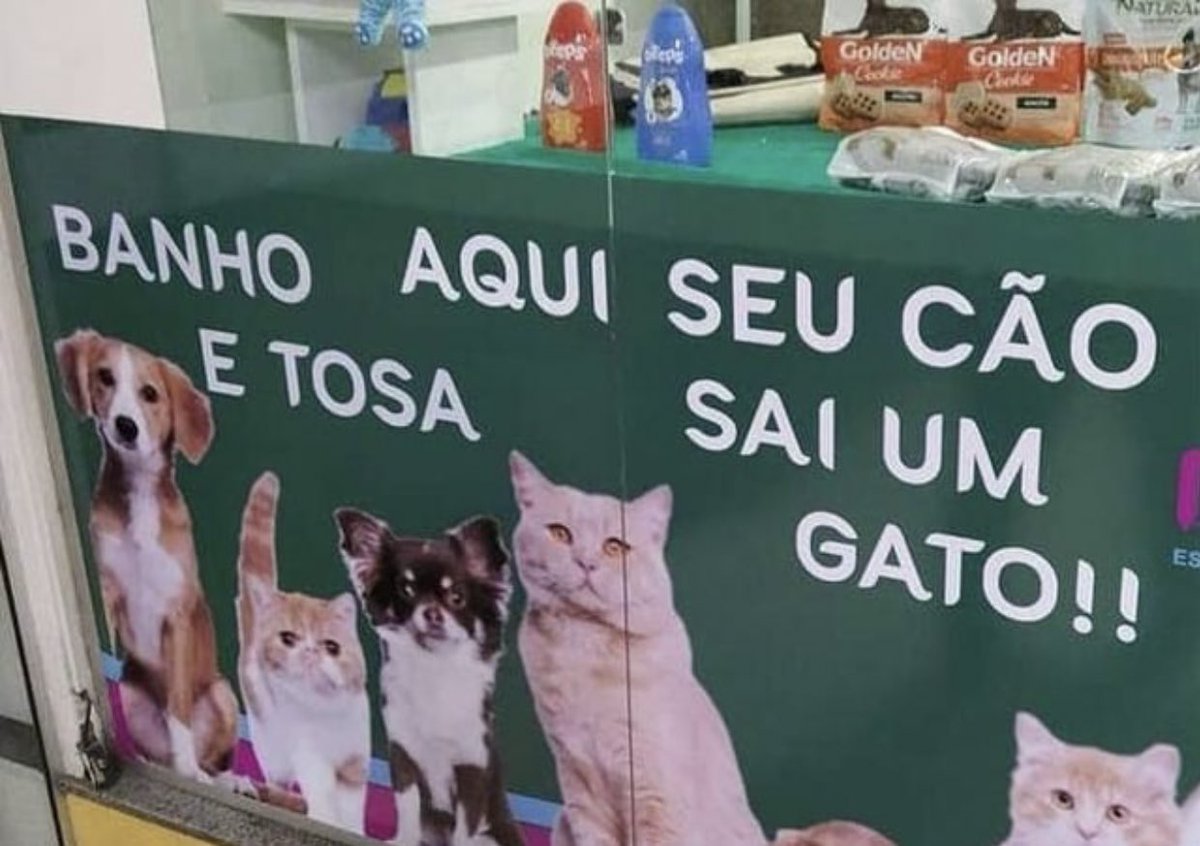 gatinarios's tweet photo. SEU CÃO SAI UM GATO!! https://t.co/czB58MSjcx