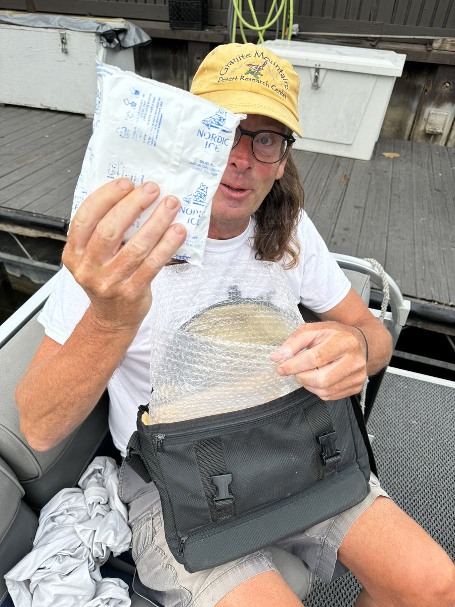 Genevieve Redsten tweet media