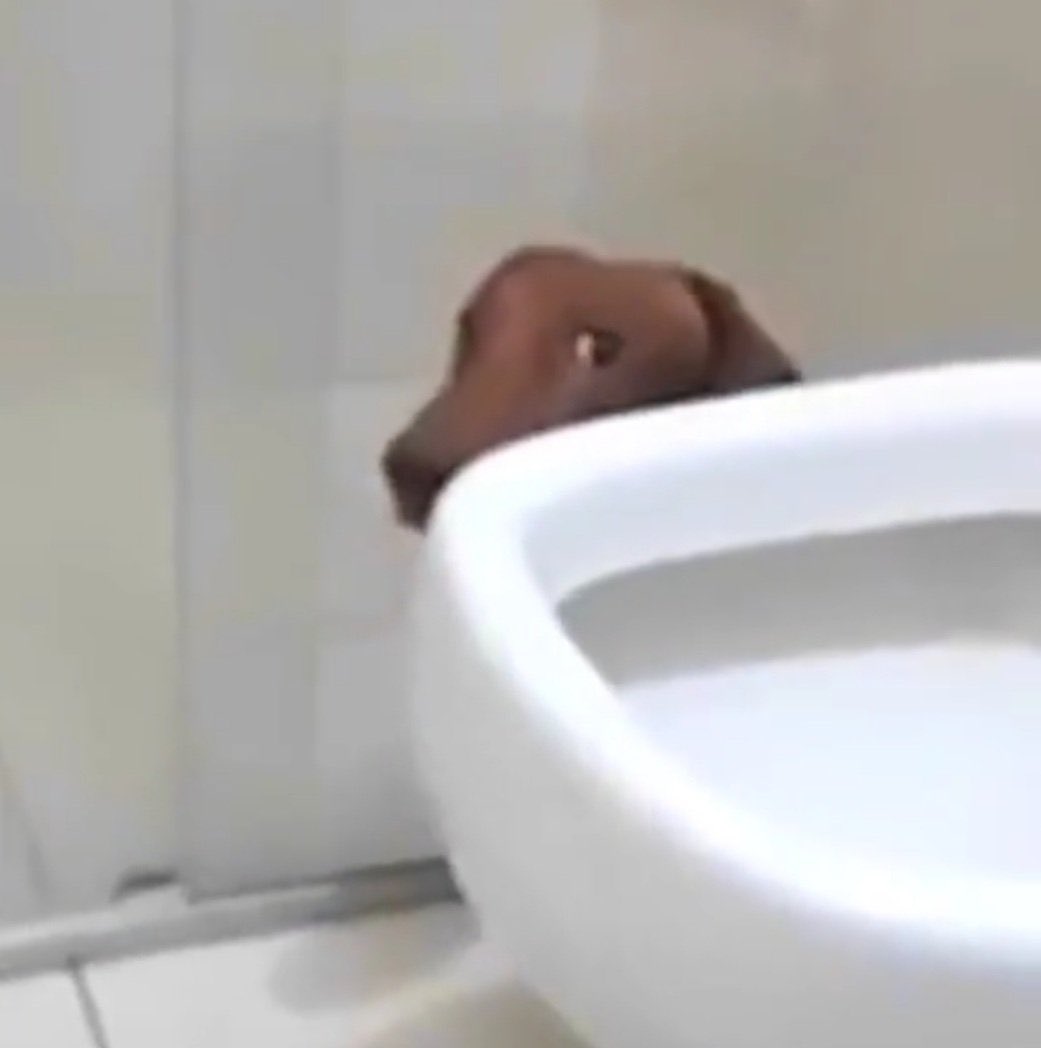 gabsstudyy's tweet image. *erro uma questao* 
*abro os comentários*
“essa é pra nao zerar hein”