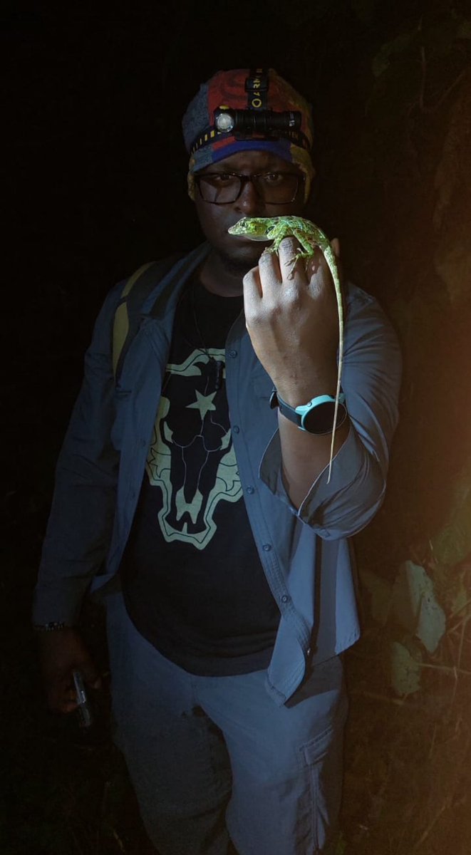 🙌🏿🙌🏿🦎🦎 (A. latifrons)