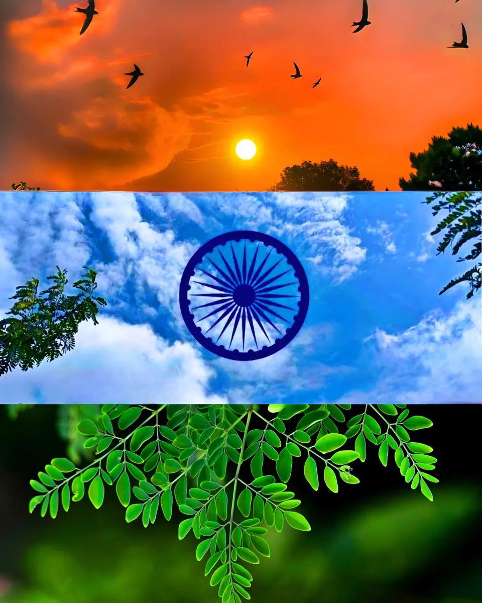 आप सभी देशवासियों एवं बिहार वासियों को 15 अगस्त स्वतंत्रता दिवस की हार्दिक शुभकामनाएं।। 
🇮🇳❤
#IndependenceDayIndia