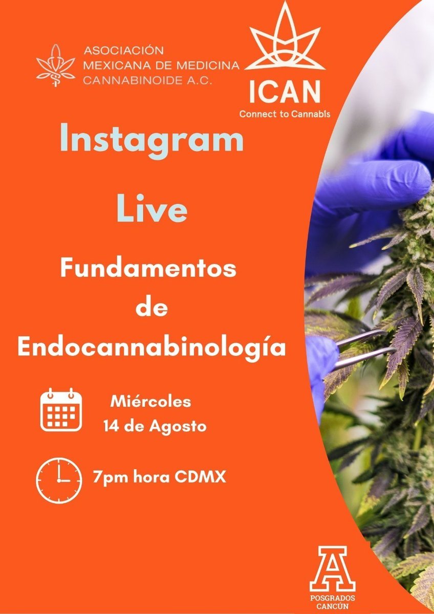 cannatlan's tweet photo. La Dra. Mariana Hoyo estará en un LIVE por Instagram hoy, compartiendo información clave sobre el curso y respondiendo a todas tus preguntas en tiempo real. 🎥💬 

⏰ Hora: *19:00 HRS de la Ciudad de México* (20:00 HRS de Cancún)
📲 Instagram: @dra.marianahoyov https://t.co/R1Tgz2FqAt