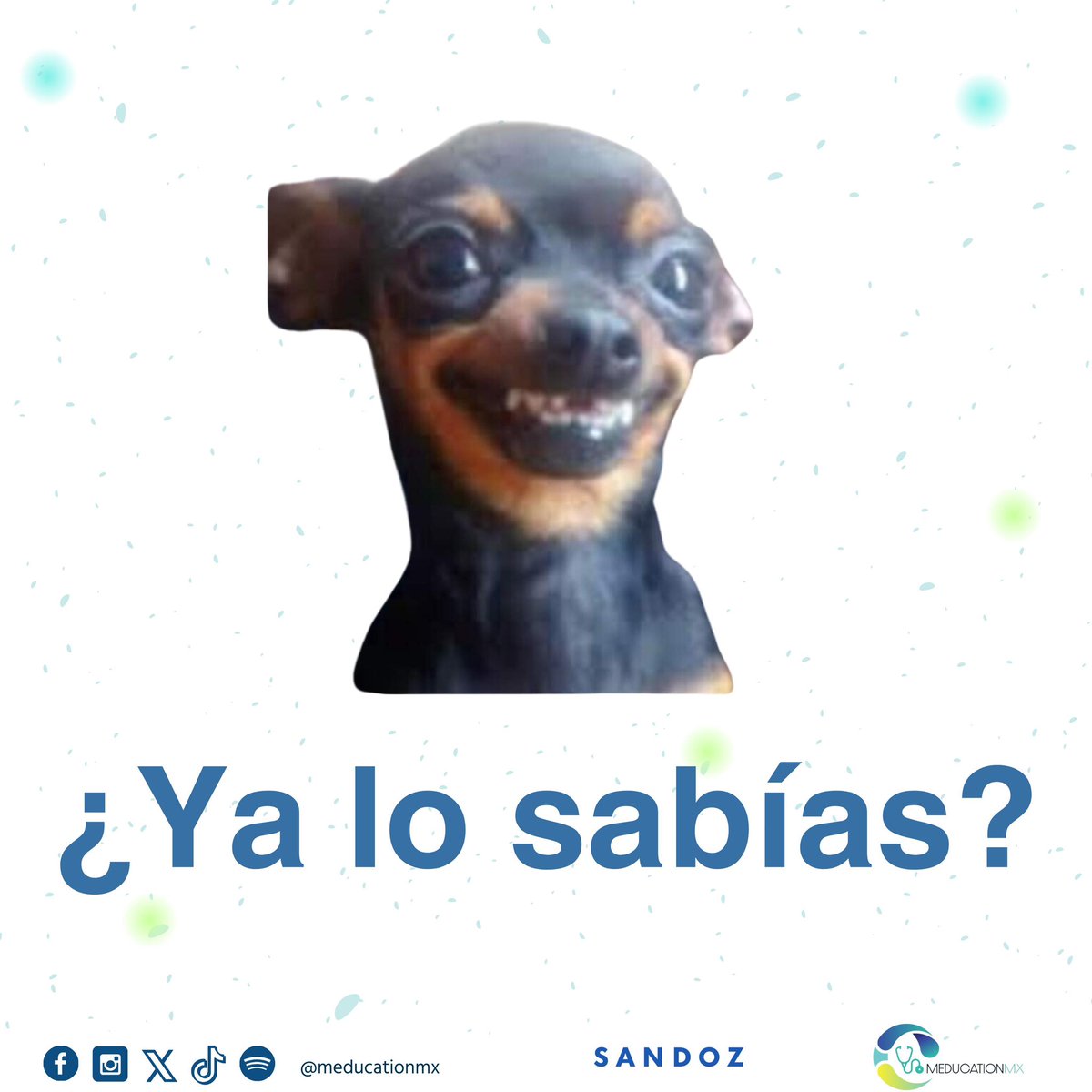 MeducationMx (@meducationmx) on Twitter photo 