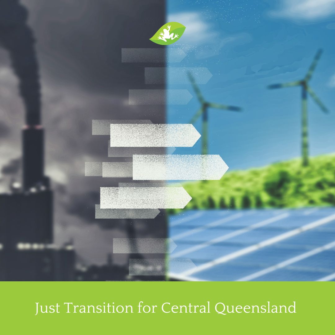 Mackay Conservation tweet media