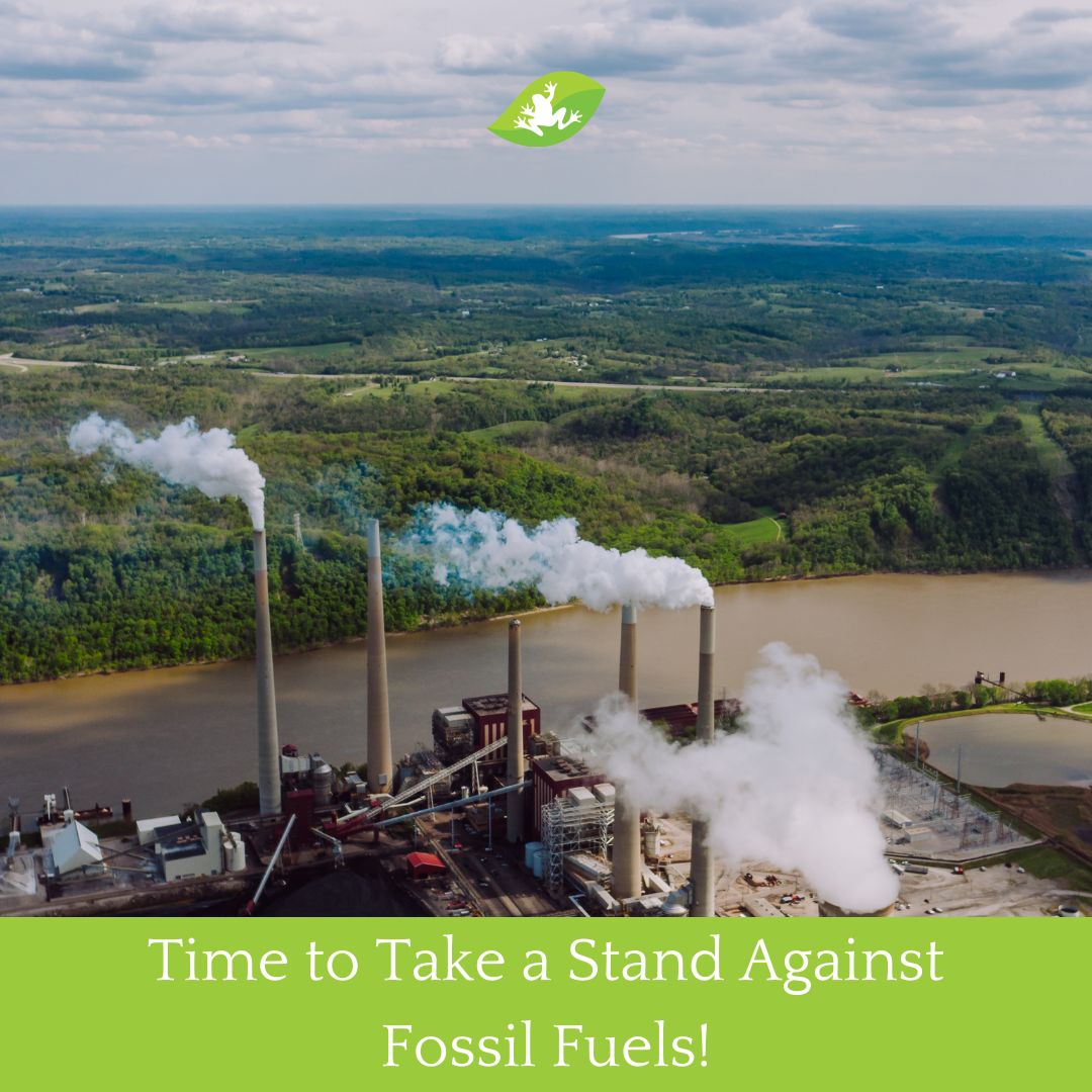 Mackay Conservation tweet media