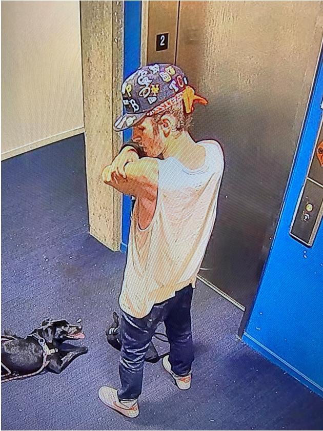 Press Release: PPB Needs Public's Help Identifying, Locating Suspected Dog Abuser (Photo) 
Link: portlandoregon.gov/police/news/re…