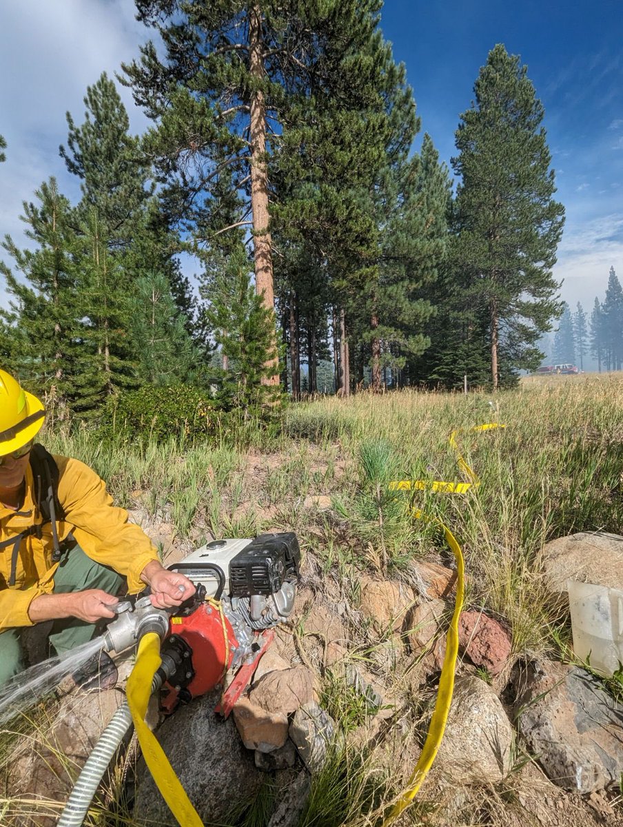 NLTahoeFire's tweet image. Pass and Gold Ranch Fires. We are always honored to support our regional partners in time of need. Teamwork gets it done.

Stay safe out there and if you see something say something!

#PassFire
#GoldRanchFire