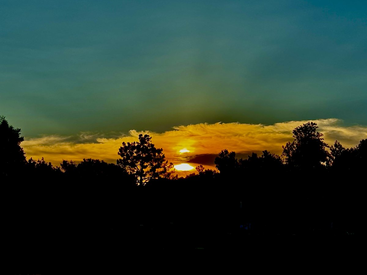 Steven Gutterman tweet media