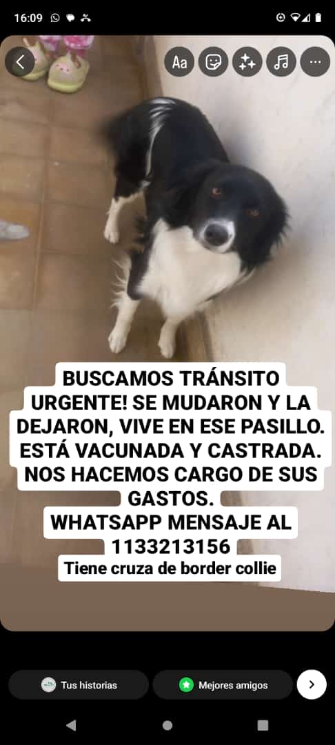Difundimos
