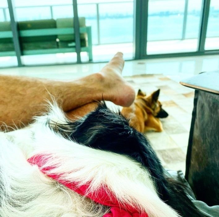 george_scotts's tweet image. 