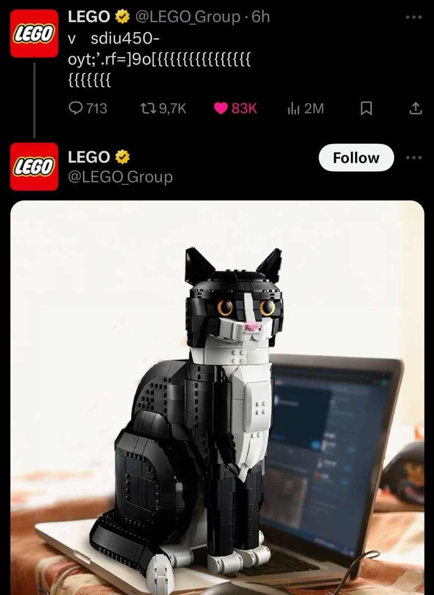 Punch Cat tweet media