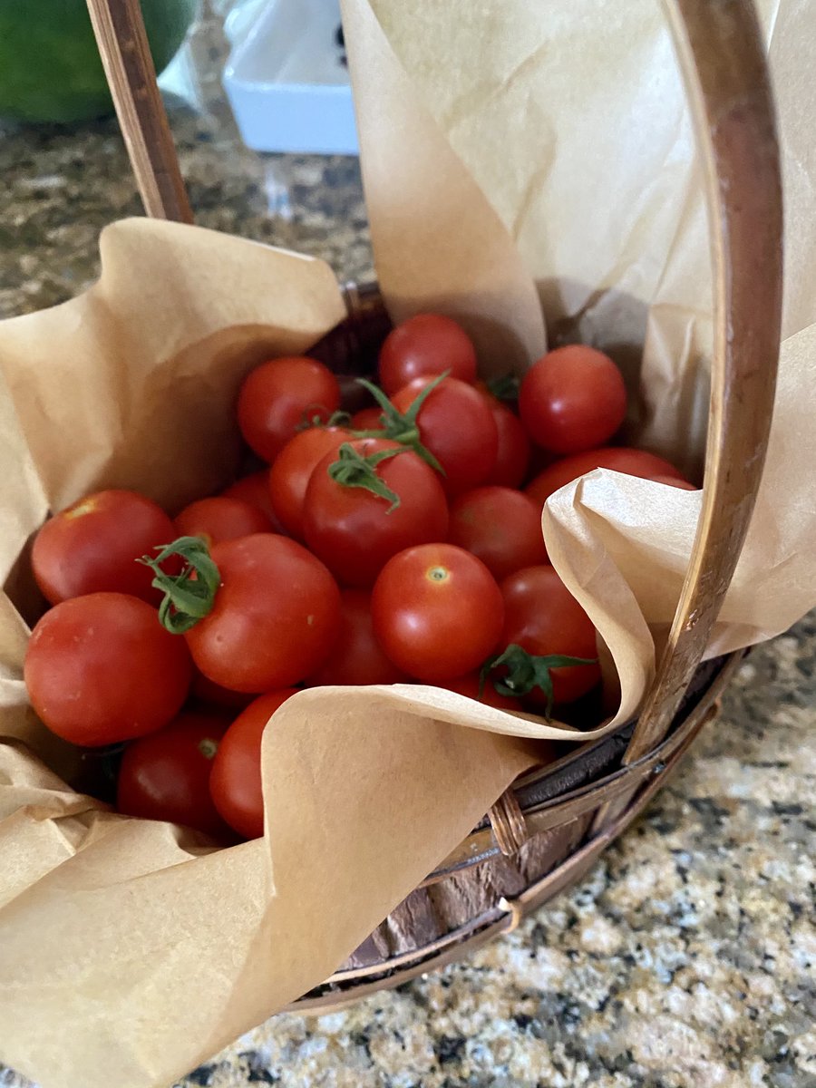 Best summer gift for a friend. Fresh cherry tomatoes, picked this morning. Reminder: don’t refrigerate. Just wash &amp; enjoy. 

#summer #midwest #ptsgarden #vegetables #iowa #gardening #gift