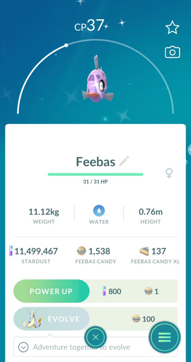LadyDi1002's tweet photo. I mean... They are ✨
#ShinyCheck
#ISaidIWasNOTTappingAnyMoreLickitung
#IDefinitelyLied
#ShinyFeebas
#GOPlusPlusCatch
#PoGO https://t.co/aNE0GVf4yC