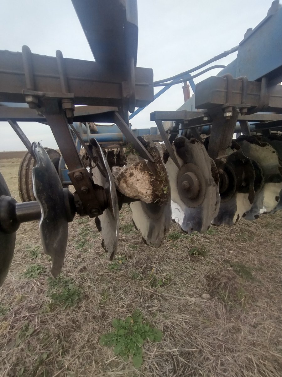 3Chevro's tweet image. Con el JPC se siembra hasta las lomas decian