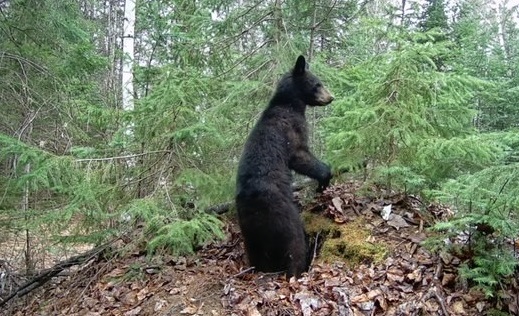 SEIZE03 - FIL DE PRESSE tweet media