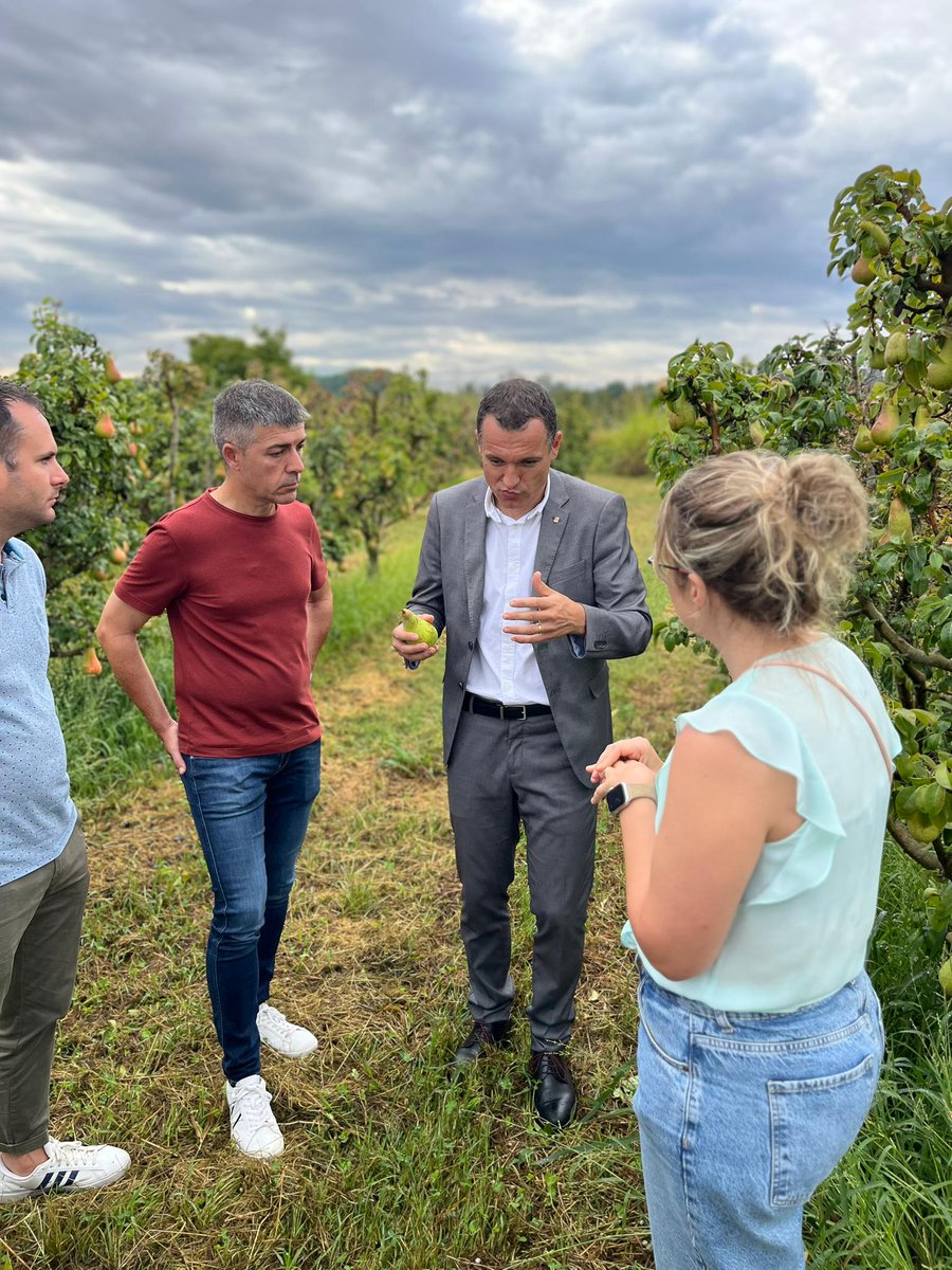oscarordeig's tweet photo. 🍐Agraïment immens als/les agricultors/es del país per la feina, dedicació i estima  per la terra.

👉Catalunya és la principal potència agroalimentària d'Europa i 1r sector de l'economia.

✍️Per això, cal escoltar i ajudar davant d les adversitats com la pedregada d'ahir. https://t.co/p9pB09R2g5