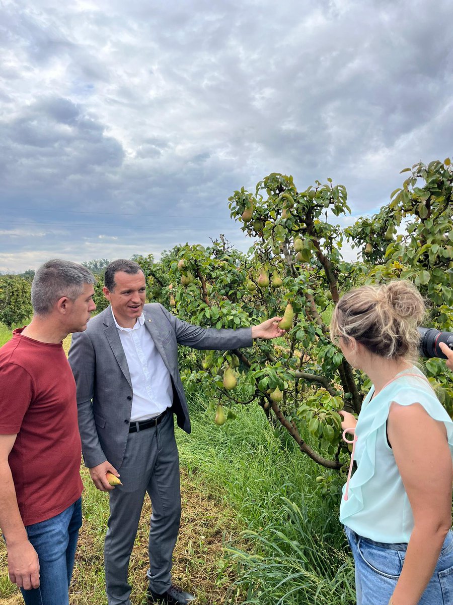 oscarordeig's tweet photo. 🍐Agraïment immens als/les agricultors/es del país per la feina, dedicació i estima  per la terra.

👉Catalunya és la principal potència agroalimentària d'Europa i 1r sector de l'economia.

✍️Per això, cal escoltar i ajudar davant d les adversitats com la pedregada d'ahir. https://t.co/p9pB09R2g5